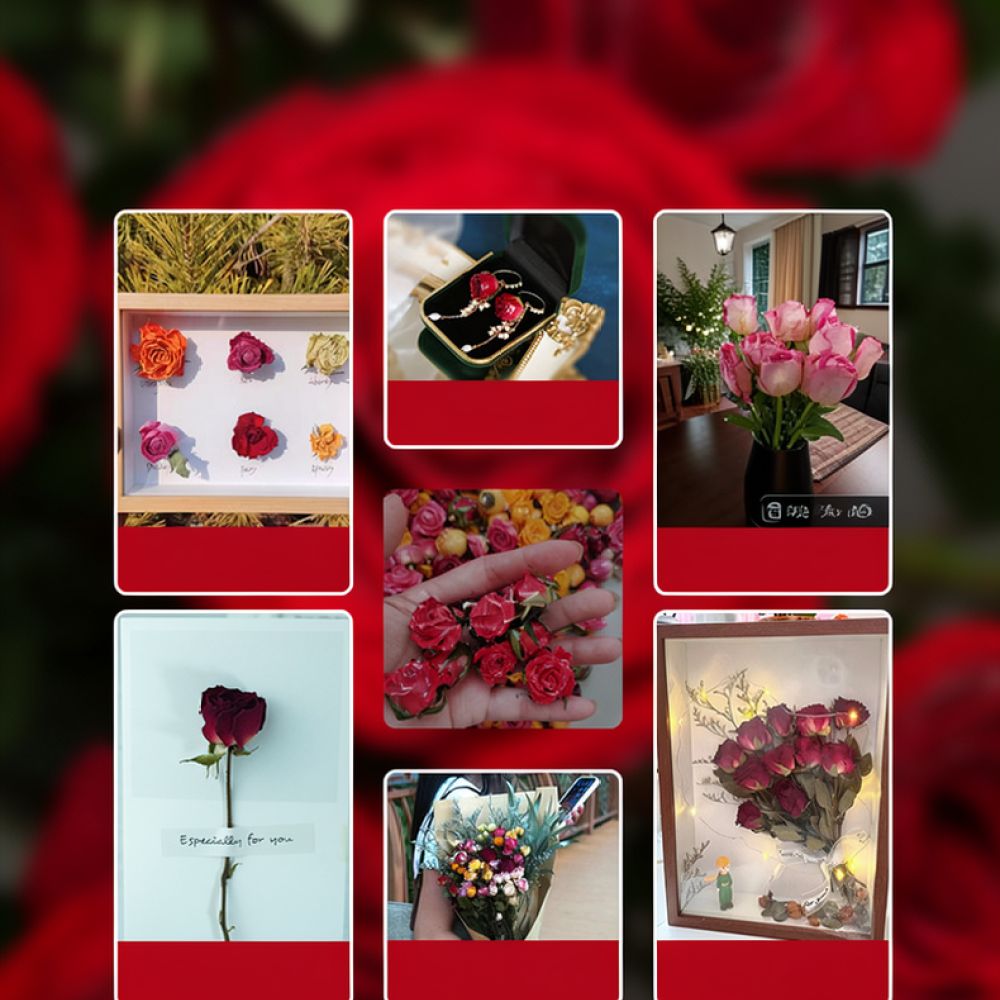 Ramo de rosas naturales secas, - Resin Art Rose reseña y precio