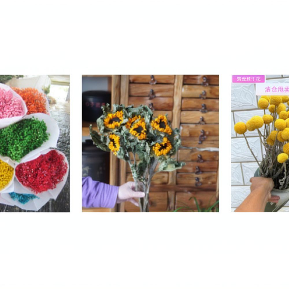 Ramo de rosas naturales secas, - Resin Art Rose reseña y precio